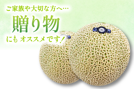 A-540 秋に食べたい！アールスメロン 2玉入り