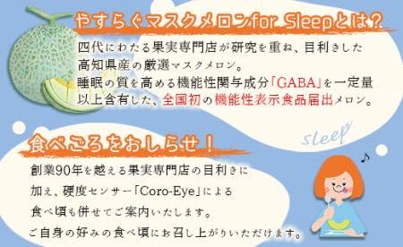 やすらぐマスクメロン for Sleep（フォー スリープ） 1玉（1.7kg以上）- 送料無料 果物 フルーツ 旬 季節 GABA 青肉メロン 箱入り 贈り物 国産 特産品 高知県 香南市【常温】 yt-0004