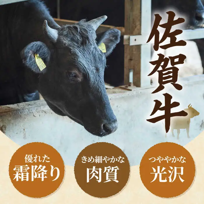 【6回定期便】佐賀牛 贅沢 1頭まるごと定期便/ シルバーコース 牛肉 [IAH089]