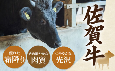 【12回定期便】佐賀牛 贅沢 1頭まるごと定期便 /ゴールドコース 牛肉 [IAH090]
