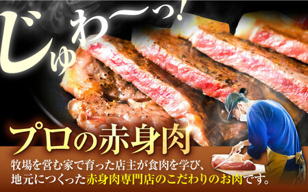 【10回定期便】佐賀牛 サーロインステーキ 800g / ステーキ  [IAH168]