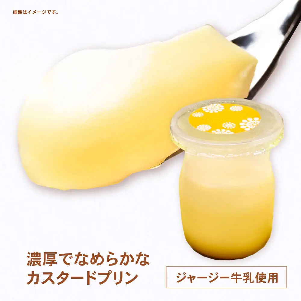 地元で大人気のなめらかプリン(6個入り) / プリン ぷりん 卵 カスタード カラメル なめらか / 諫早市 / ケーキショップ・ジタン [AHCR002]  
