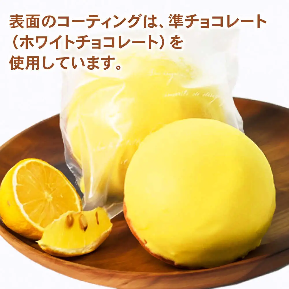 地元で大人気のレモンケーキ(10個入り) / レモンケーキ レモン スイーツ お菓子 / 諫早市 / ケーキショップ・ジタン [AHCR003]  