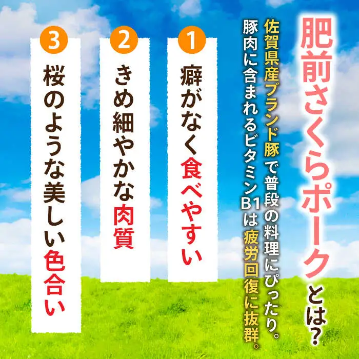 ＜毎日のお料理に便利に使える♪＞肥前さくらポーク こま切れ 1kg (500g × 2パック) 佐賀県産 国産豚肉 小間 小分け 吉野ヶ里町/アスタラビスタ[FAM026]