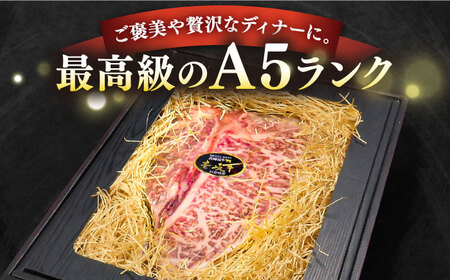 【全3回定期便】極上 壱岐牛 A5ランク Tボーンステーキ 約550~650g（雌）30日間熟成《壱岐市》【KRAZY MEAT】[JER021] 冷凍配送 黒毛和牛 A5ランク ヒレ 赤身 ステーキ サーロイン サーロインステーキ 熟成 熟成肉 牛肉 シャトーブリアン 252000 252000円 九州