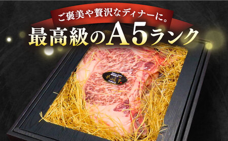 【全2回定期便】極上 壱岐牛 A5ランク Lボーンステーキ 約600~800g（雌）30日間熟成《壱岐市》【KRAZY MEAT】[JER036] 冷凍配送 黒毛和牛 A5ランク ステーキ ヒレ 赤身 Lボーン 牛 骨つき肉 サーロイン サーロインステーキ シャトーブリアン 134000 134000円 九州