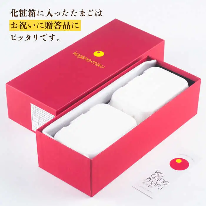 【 卵　定期便6回 】極上恋たまご 卵12個 [JAA005]