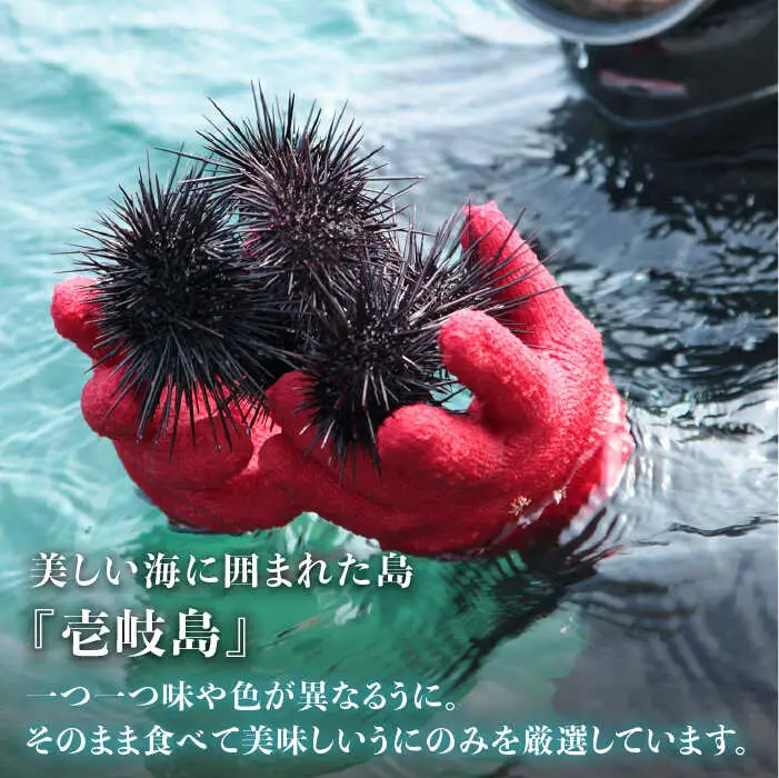 【全6回定期便】【厳選】 うに 60g×2 [JAO019] 生うに