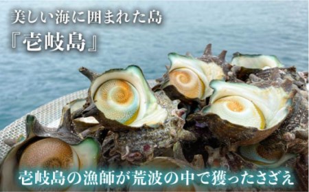 【全12回定期便】壱岐産さざえうに 50g×2本セット [JAO041] 204000 204000円 冷凍配送 九州