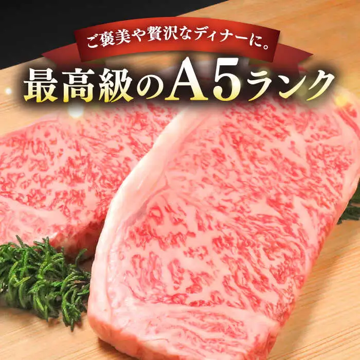 極上 壱岐牛 A5ランク サーロイン ステーキ 350g×2枚（雌）《 壱岐市 》【 KRAZY MEAT 】 [JER002] 51000 51000円 のし ギフト