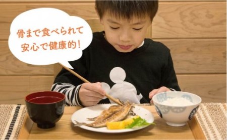 【全12回定期便】E 壱岐産 干物セット 家庭用 [JBD050] 干物 ひもの 定期便 レトルト