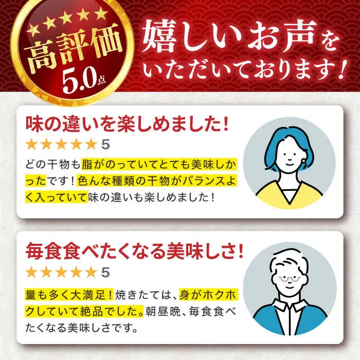 【全6回定期便】 旬の干物 おまかせ詰め合わせ《梅》（アジ・イワシ・イカなど）[JDR010]