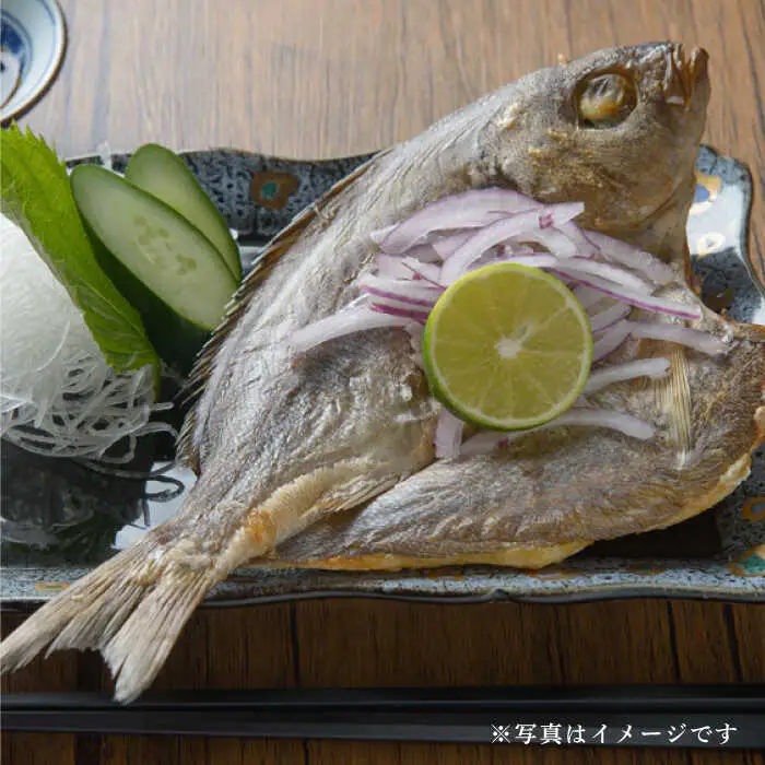 【全12回定期便】壱岐美食の海の幸セット [JBU020] 干物 刺身 アジ イカ鯛 カマス 168000 168000円