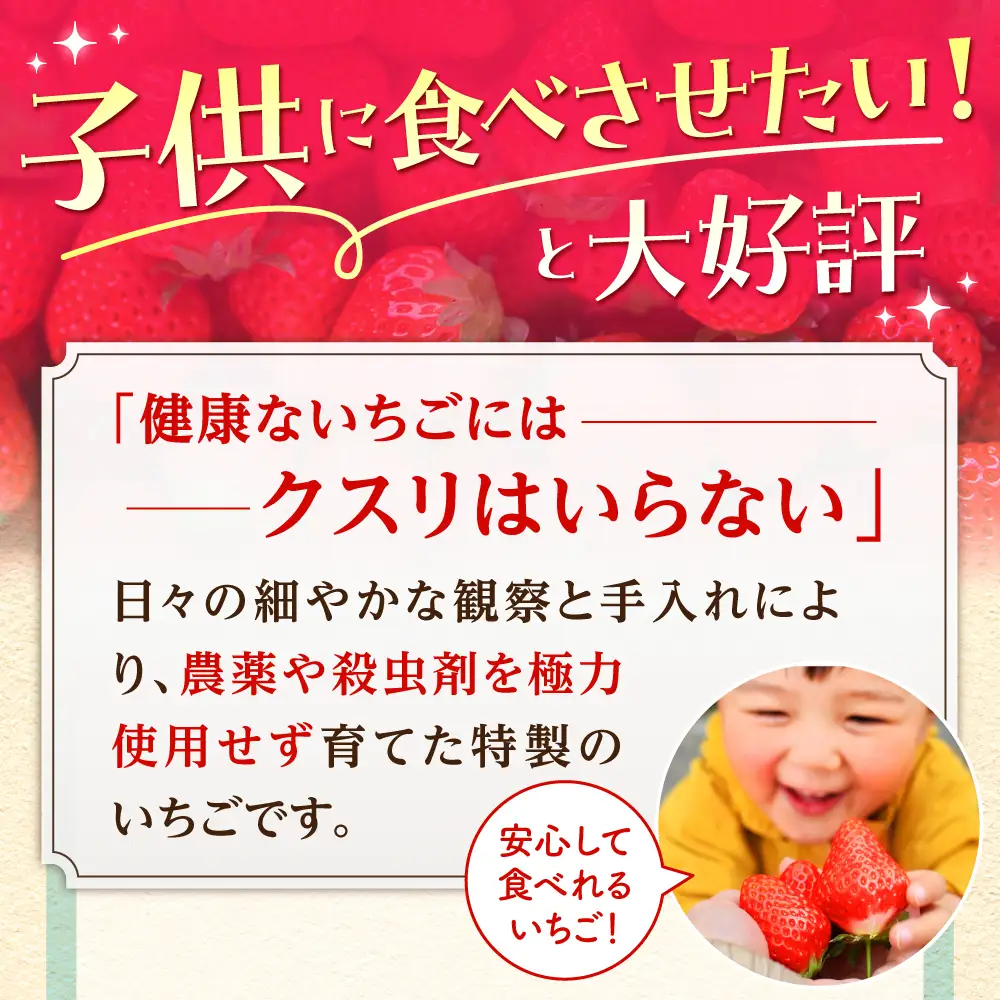 【先行予約】【2?4月発送】いちごさんさがほのか計4パック1kg HAF020 いちご