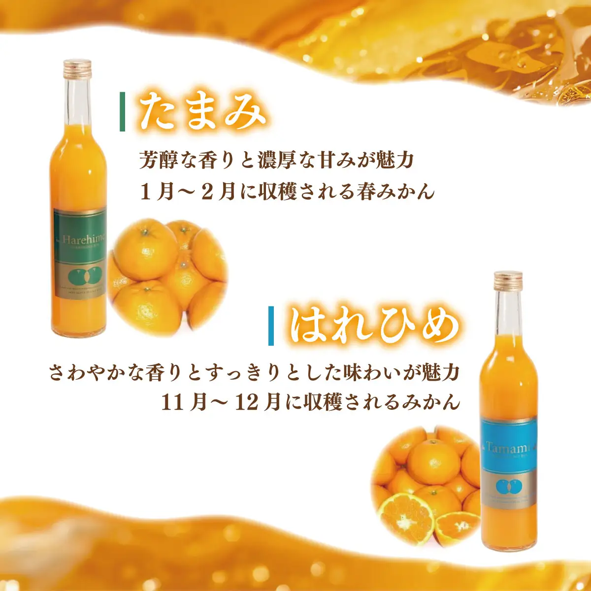 みかん たまみ・はれひめジュース　2本セット