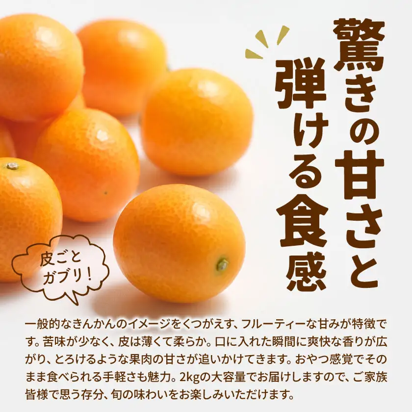 フルーツきんかん 2kg 北さつま農協《1月上旬-2月中旬頃出荷》