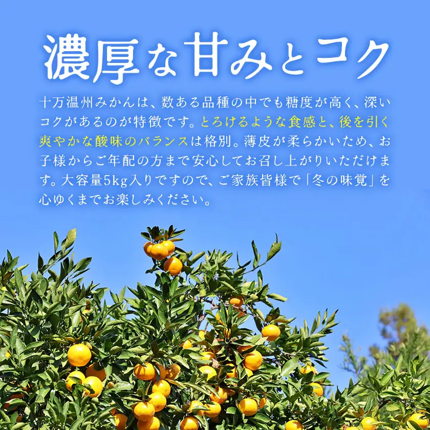 十万温州みかん 5kg 北さつま農協《1月上旬-1月末頃出荷》 
