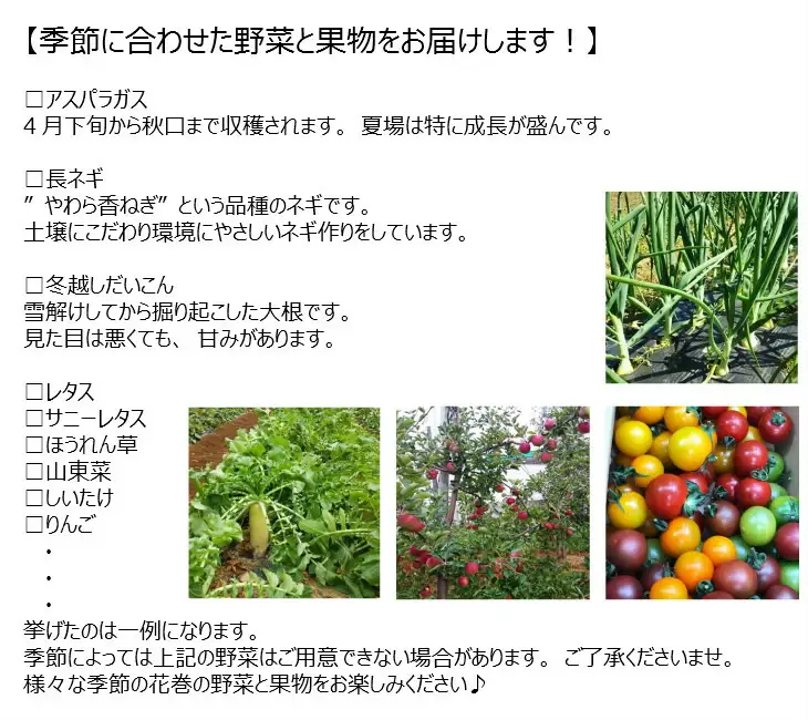 イーハトーヴ野菜B 満足セット 9品～ 詰め合わせ【1203】