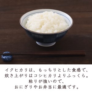 【数量限定】訳あり＜ワイワイ・ファーム＞京都府亀岡産いくひかり 5kg×2袋 計10kg≪京都 丹波 産地 農家 直送 ご飯 お弁当 令和4年産 米≫