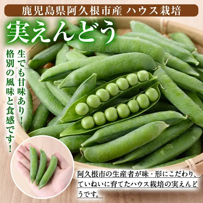 ＜先行予約受付中！2027年1月上旬以降順次発送予定＞期間限定！実えんどう (約1.5kg) 国産 鹿児島県産 ハウス栽培 野菜 旬 豆 マメ まめ エンドウ 豆ごはん ポタージュ 期間限定 数量限定 季節限定 【東新グリーンファーム合同会社】akn062-13
