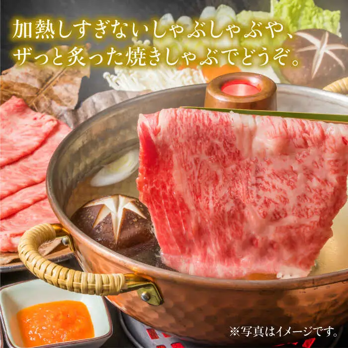 【10回定期便】和牛最高級ブランド佐賀牛 赤身4種スライス食べ比べ 吉野ヶ里町/ミートフーズ華松 ブランド 高級 和牛 BBQ やわらか 冷凍 料理 しゃぶしゃぶ 鍋 精肉 牛肉 希少 赤身 [FAY082]