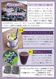 【冷凍】最上町産ブルーベリー1kg ※発送は9月～3月になります。