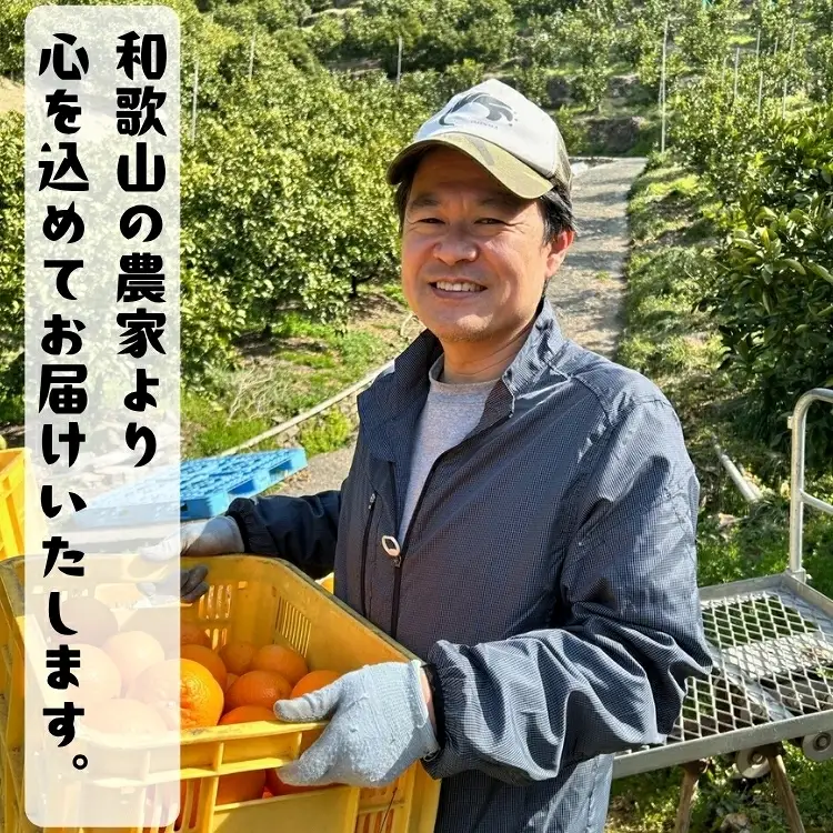 有田育ちの爽快セミノールオレンジ(ご家庭用)　約5kg+200g(補償分)　【2027年4月上旬～5月下旬頃に順次発送予定】【ard025B】