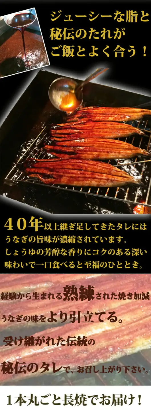 うなぎ 【大型】国産鰻の蒲焼き化粧箱入 1尾約2人前【uot714A】