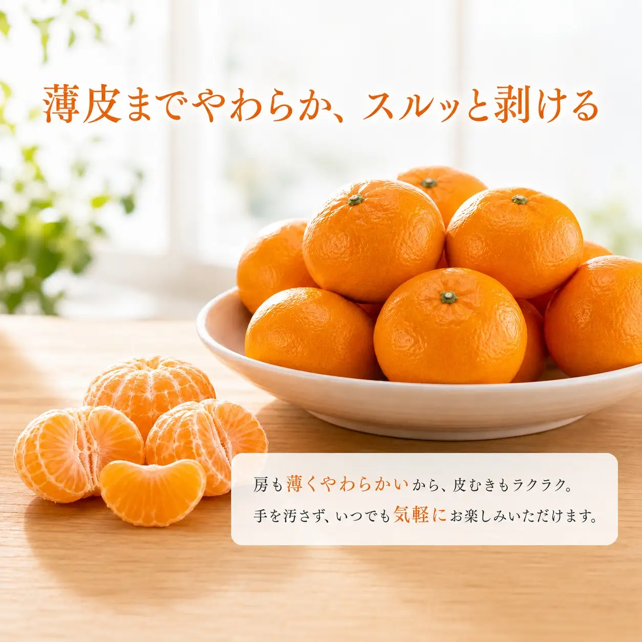 赤秀品 紀州和歌山【先行予約】ハウスみかん2.5kg ※2027年6月下旬頃～7月下旬頃に順次発送予定(お届け日指定不可)【uot735B】