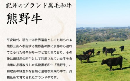 熊野牛A4以上ヒレシャトーブリアンステーキ200g(100g×2枚)＆霜降り赤身こま切れ300g【uot745A】