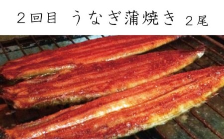 定期便【全3回/毎月お届け】和歌山からお届け おさかな定期便　サバ・ウナギ・サケ【tkb131】