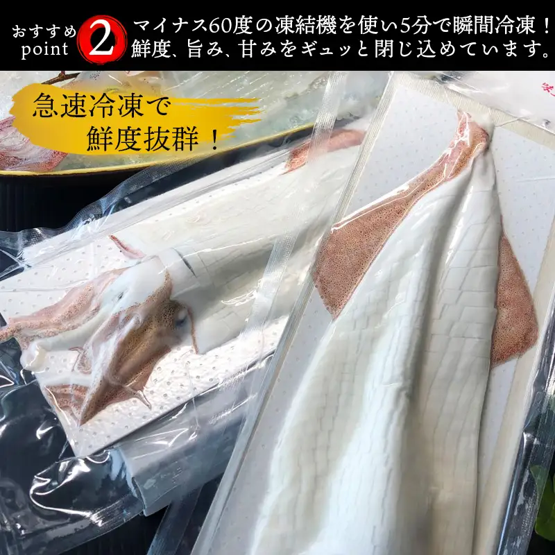 呼子のいか活造り1杯(360g前後) 特大サイズ コリコリ甘い鮮度抜群の透明感!
