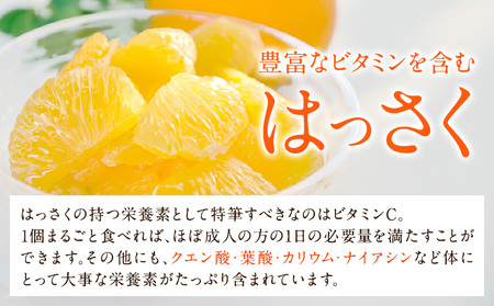 和歌山産 手剥き八朔缶詰 (450g×8缶入り)  紀の川市厳選館 