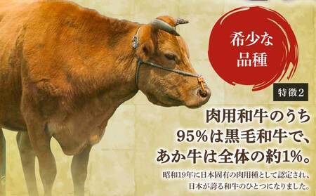 牛肉 ステーキ あか牛ステーキセット 900g（ロース250g×2枚 ヒレ200g×2枚） あか牛ステーキ 国産ステーキ 和牛ステーキ 牛肉ステーキ 