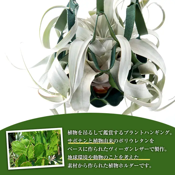i619 サボテンレザーハンギング(グリーン・植物なし)地球環境や動物に配慮した素材で作られたプラントハンガー！プラントハンガー 吊り下げ 観葉植物 エアプランツ 地球環境 グリーン インテリア 癒しの空間 植物ホルダー おしゃれ空間 ギフト 贈り物【kurk PLANT LEATHER】