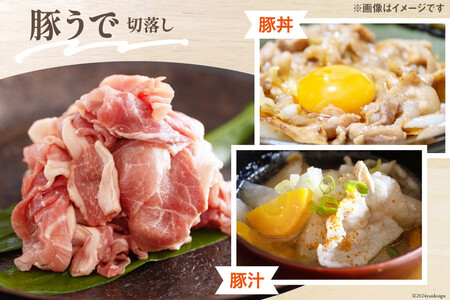 豚肉 小分け お料理セット 真空包装 合計3.3kg