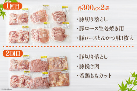 6回 定期便 豚肉 鶏肉 お料理 セット 計 10.8kg