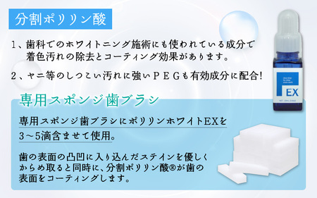 薬用ポリリンホワイトEX19ml×1本 専用スポンジ歯ブラシ60個付きセット