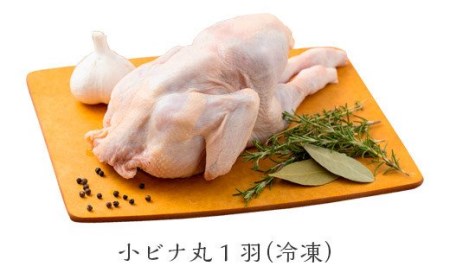 より鶏みどりBBQセット（国産木炭付き）　TF0475-P00033