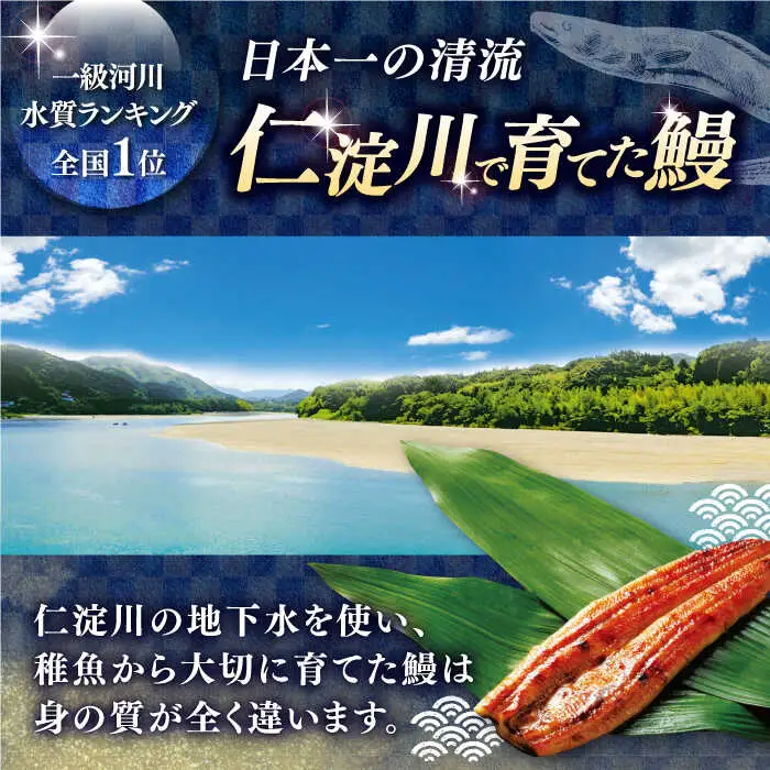 土佐料理司 三代目天の鰻蒲焼2尾セット （合計約260g） 高知市 春野町産 / うなぎ 鰻 ウナギ 国産 うなぎ蒲焼 鰻蒲焼き 蒲焼き 蒲焼 かば焼き 魚介 たれ タレ うな重 うな丼 ひつまぶし 贈答 贈り物 プレゼント ギフト のし対応 冷凍 高知 仁淀川 おすすめ [ATAD020]