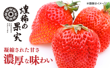 【先行予約】 煌稀の果実  特大 苺 約600g (9または12粒)  高知市春野町産 〈2027年1月中旬～2027年3月中旬頃発送〉 /  いちご イチゴ 果物 フルーツ 【森強のいちご農園】 [ATAS002]