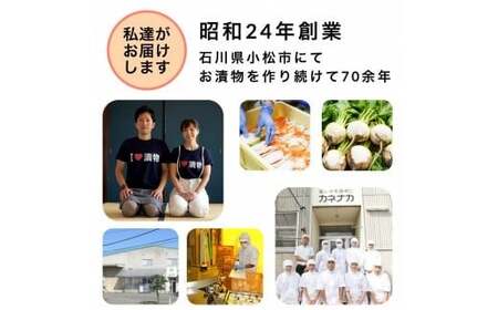 らっきょう10袋 国産ピリ辛 らっきょう
