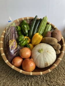 天龍村の旬の夏野菜（農産物）詰め合わせセット 令和8年 8月～9月配送予定