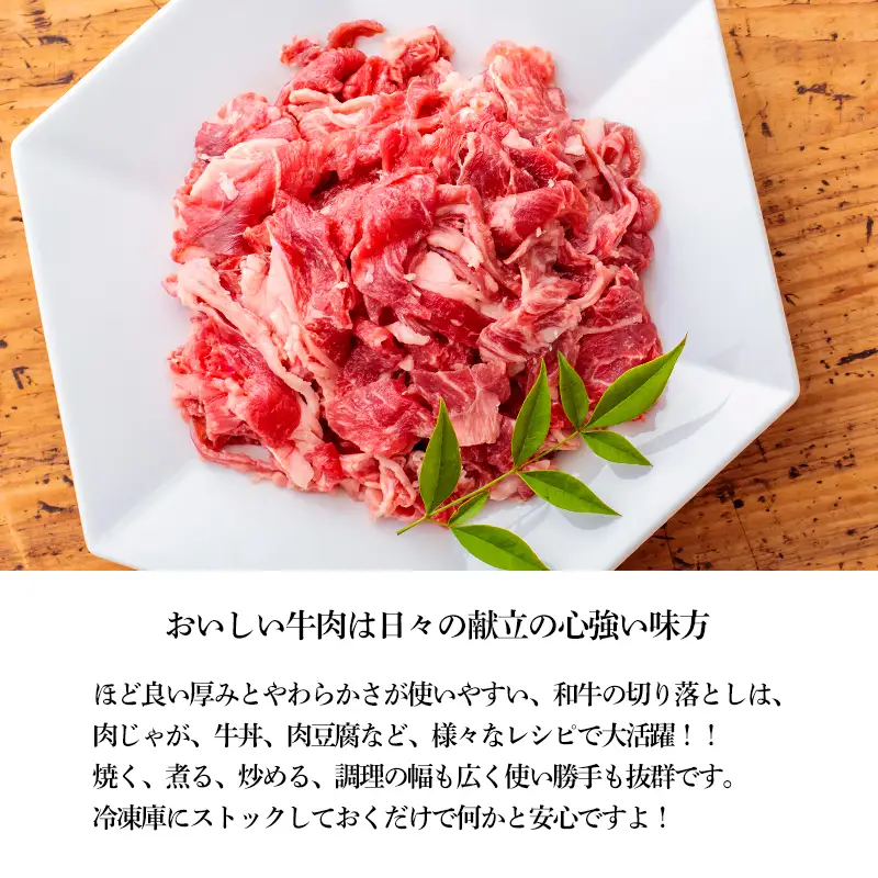 宮崎産和牛切落とし（800g）　TF0277-P00020