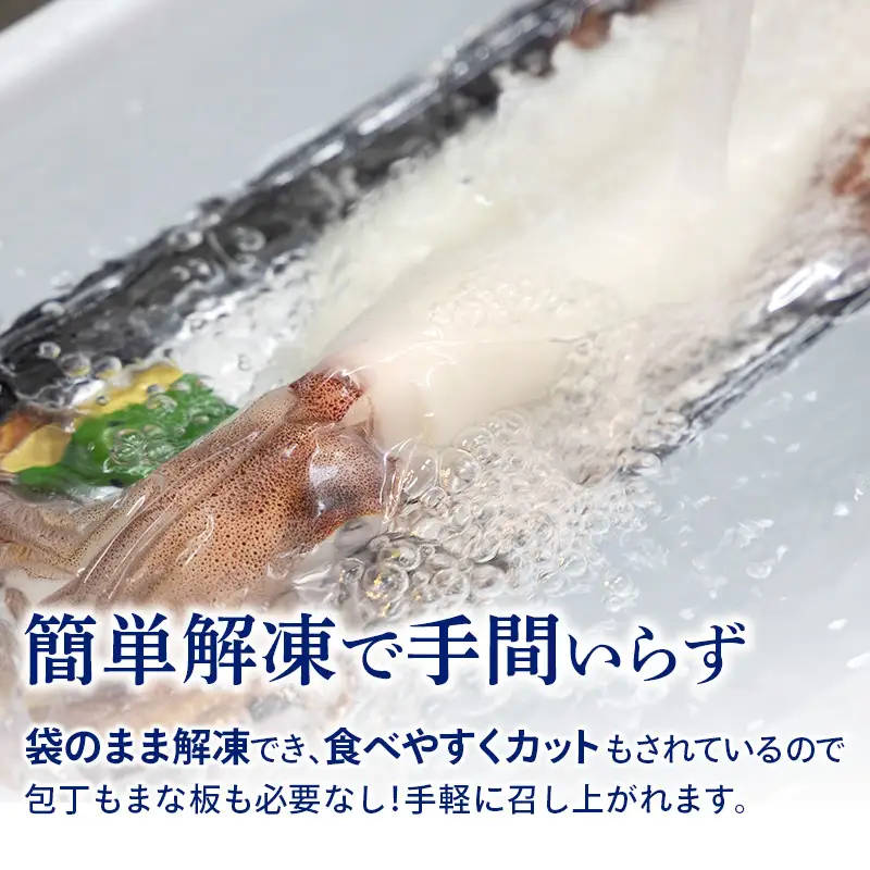 『先行予約』唐津呼子産いか活造り 1杯(約150g～180g)  急速冷凍 新鮮そのまま食卓へ！※水揚げあり次第7月以降順次発送させていただきます。