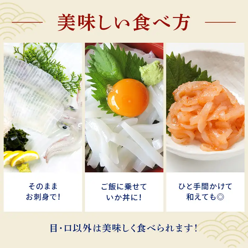 『先行予約』唐津呼子産いか活造り 1杯(約220g～250g) 急速冷凍 新鮮そのまま食卓へ！※水揚げあり次第7月以降順次発送させていただきます。