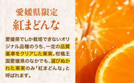 紅まどんな（5-6個）【11月下旬から順次発送】 紅まどんな みかん [AGBA003]