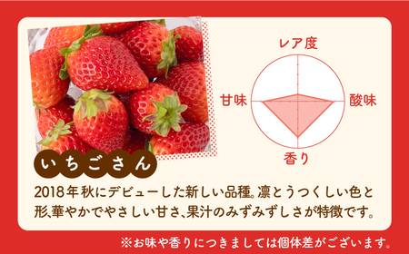 【先行予約 2027年1月〜発送】【3回定期便】いちご 3品種食べ比べ いちご