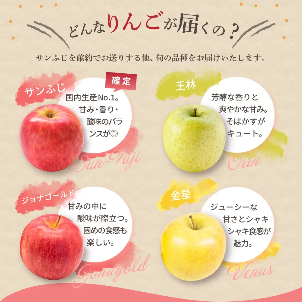 【2026年11月後半発送】 【訳あり】 りんご 約10kg サンふじ確約 青森産 品種おまかせ2種以上