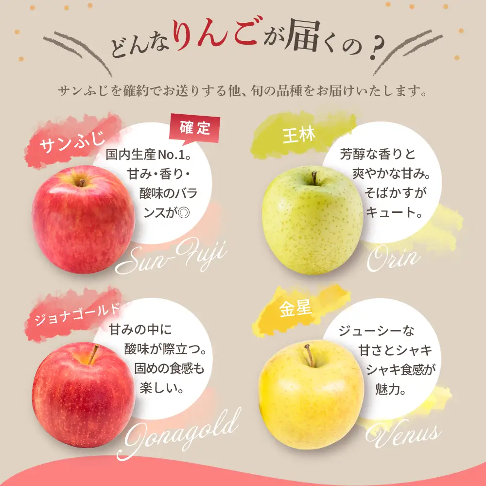 【2026年11月後半発送】 りんご 青森産 約5kg サンふじ 確約 品種おまかせ2種以上 贈答用 特選～特秀